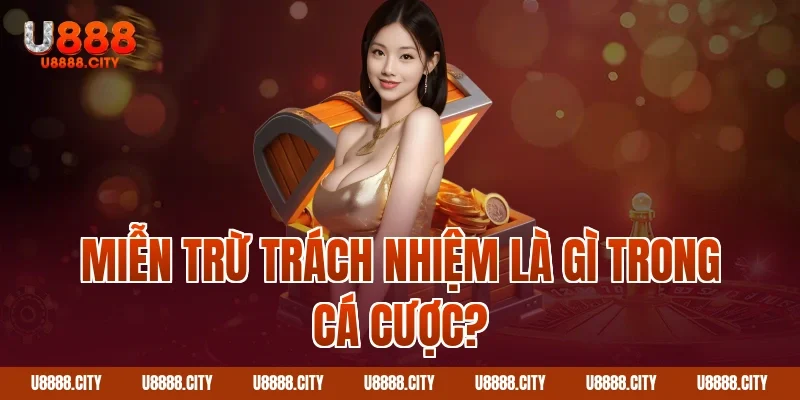 Quy Định Miễn Trừ Trách Nhiệm Người Chơi Cần Biết 1 Miễn trừ trách nhiệm là gì trong cá cược?